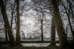 100_ch_bouilh_15 BASSDEF