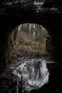 103_ch_bouilh_15 BASSDEF